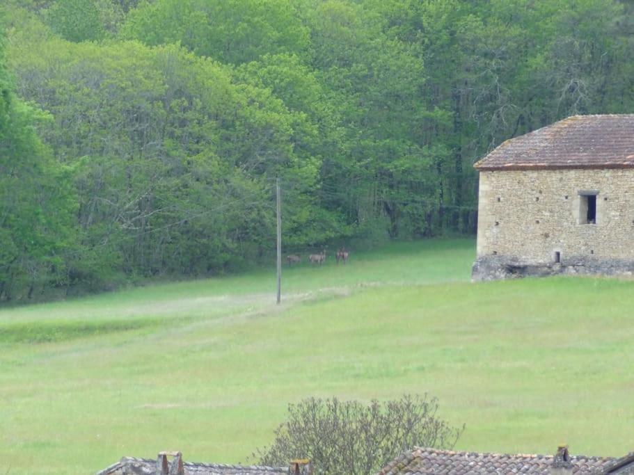 Votre En Perigord : La Grangette. * Sauveterre-la-Lemance